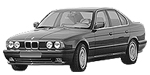 BMW E34 P310A Fault Code